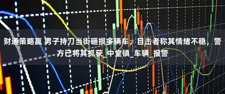 财通策略赢 男子持刀当街砸损多辆车，目击者称其情绪不稳，警方已将其抓获_中堂镇_车辆_报警