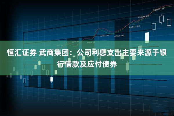 恒汇证券 武商集团：公司利息支出主要来源于银行借款及应付债券